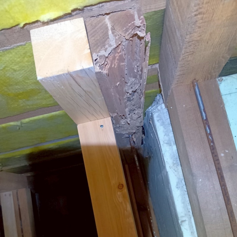 築年数30年のシロアリ駆除の施工事例（愛知県蒲郡市三谷町東）