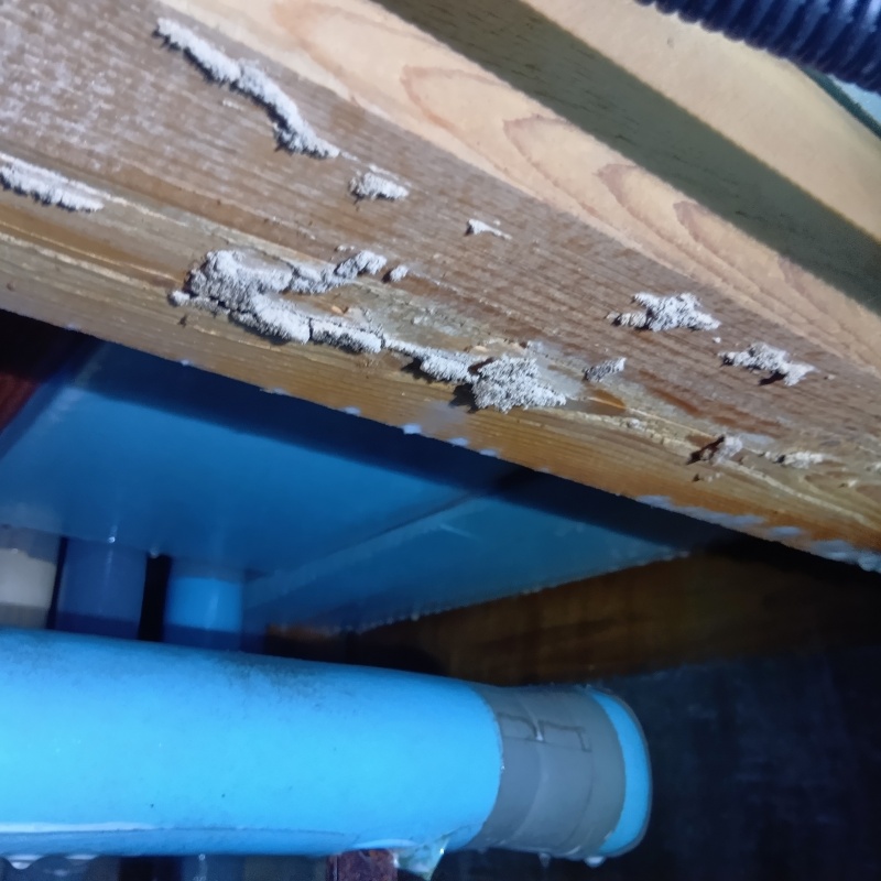 築年数30年のシロアリ駆除の施工事例（福島県東白川郡棚倉町棚倉）