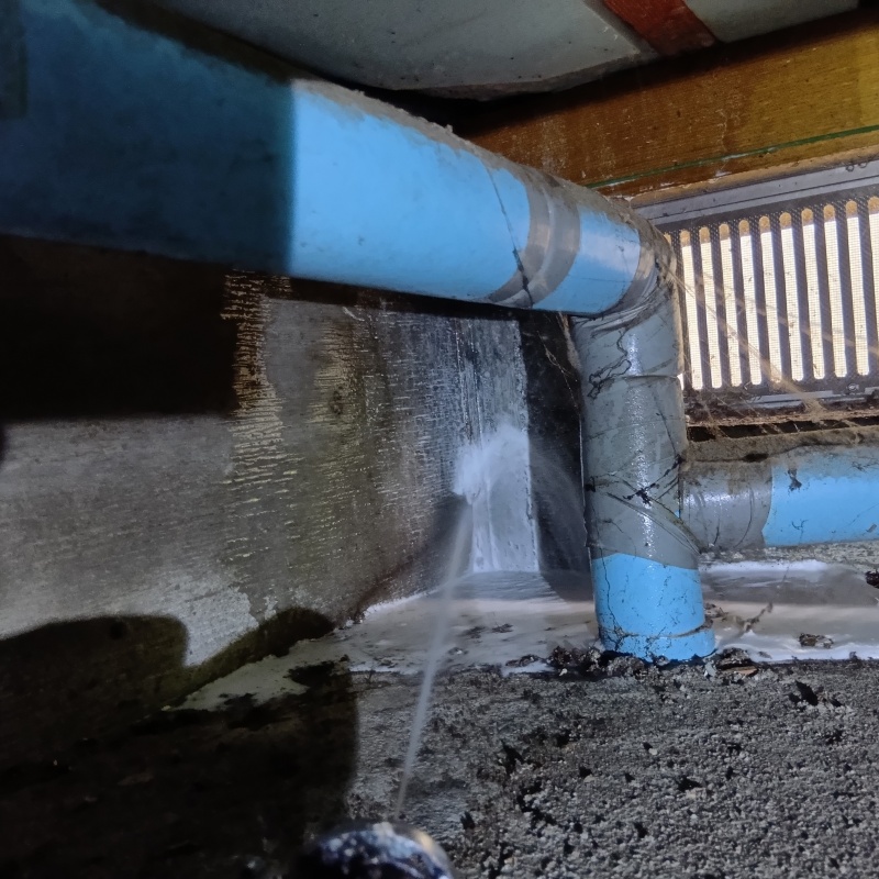 床下の基礎にシロアリ駆除剤を散布