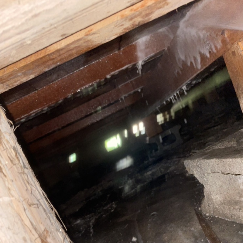 シロアリ駆除の施工事例（愛知県名古屋市中村区藤江町）