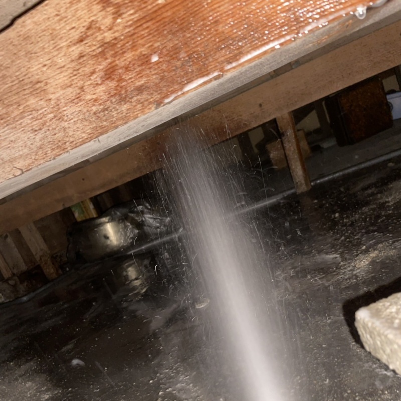 床下の木部にシロアリ駆除剤を散布