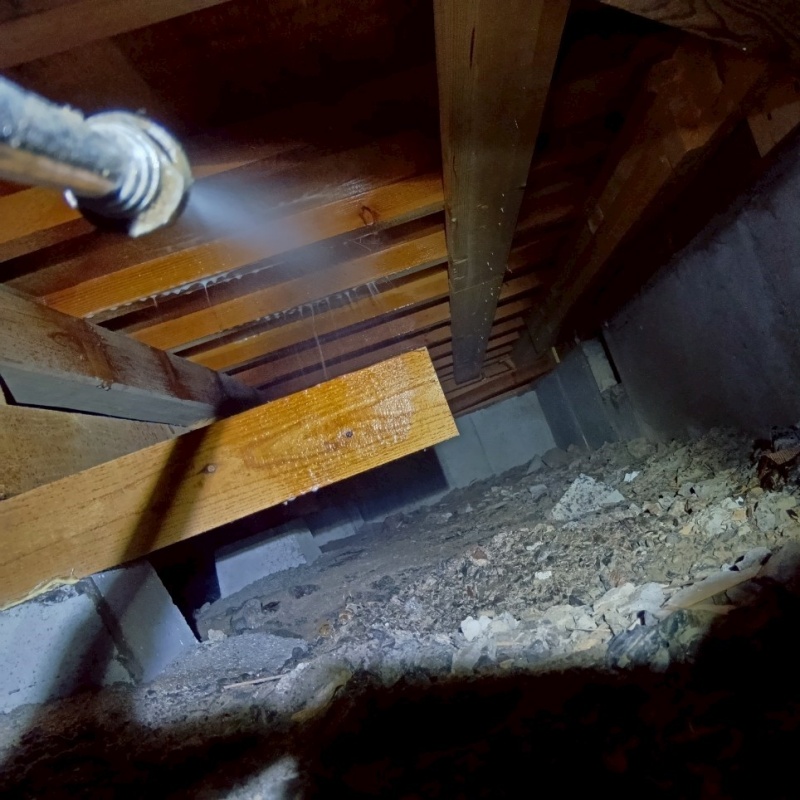 築年数30 年のシロアリ駆除の施工事例（静岡県島田市河原）