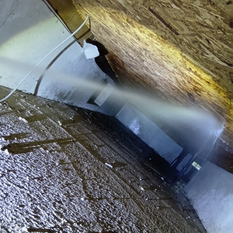 床下の木部にシロアリ駆除剤を散布