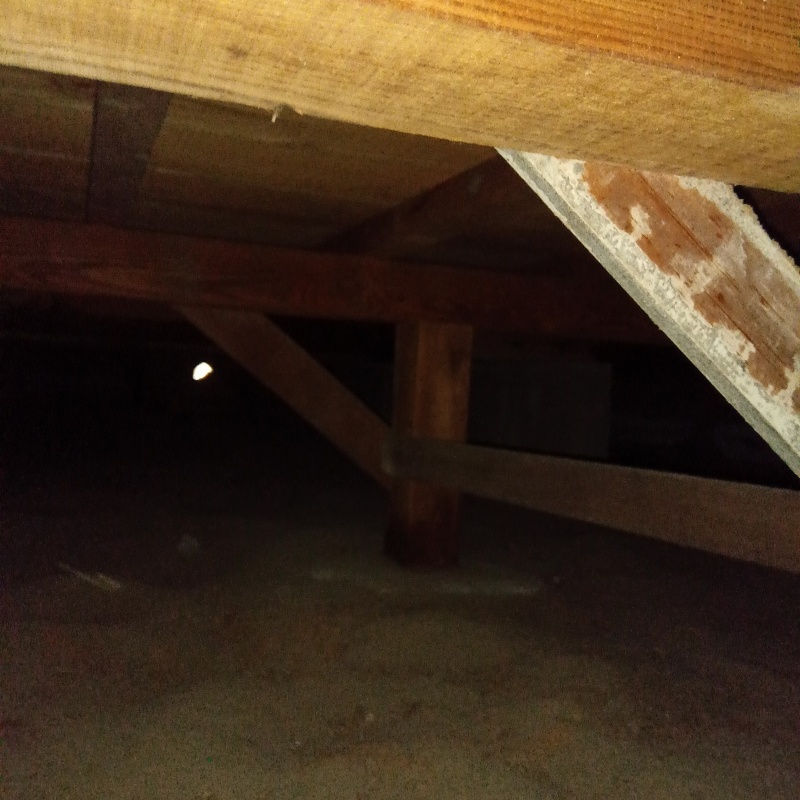築年数57年のシロアリ駆除の施工事例（石川県河北郡内灘町向粟崎）