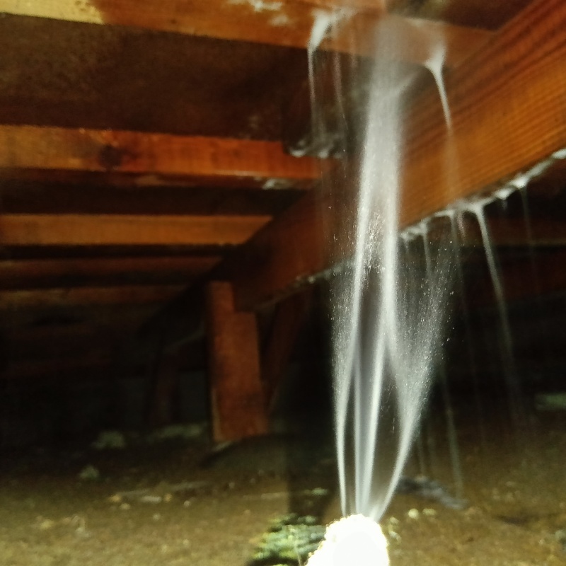 床下の木部にシロアリ駆除剤を散布