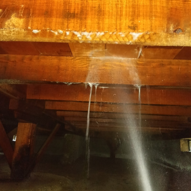 床下の木部にシロアリ駆除剤を散布