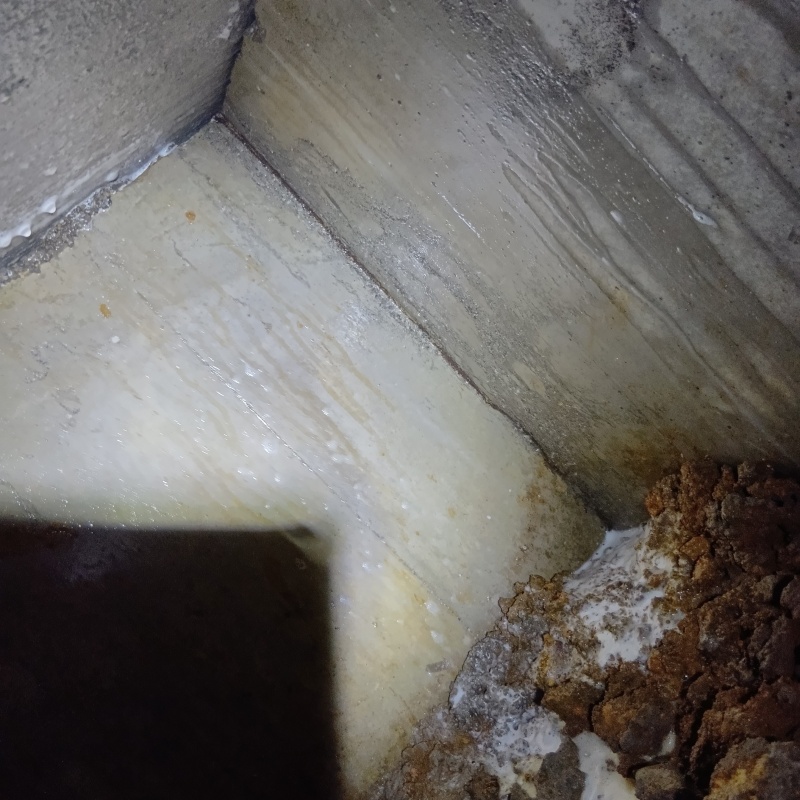 築年数40年のシロアリ駆除の施工事例（富山県富山市）