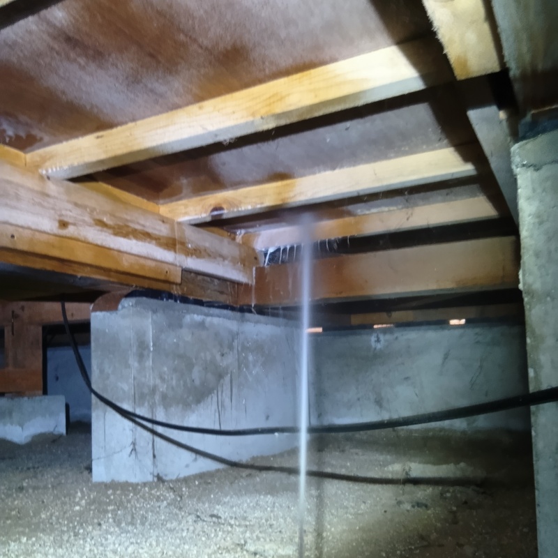 床下の木部にシロアリ駆除剤を散布