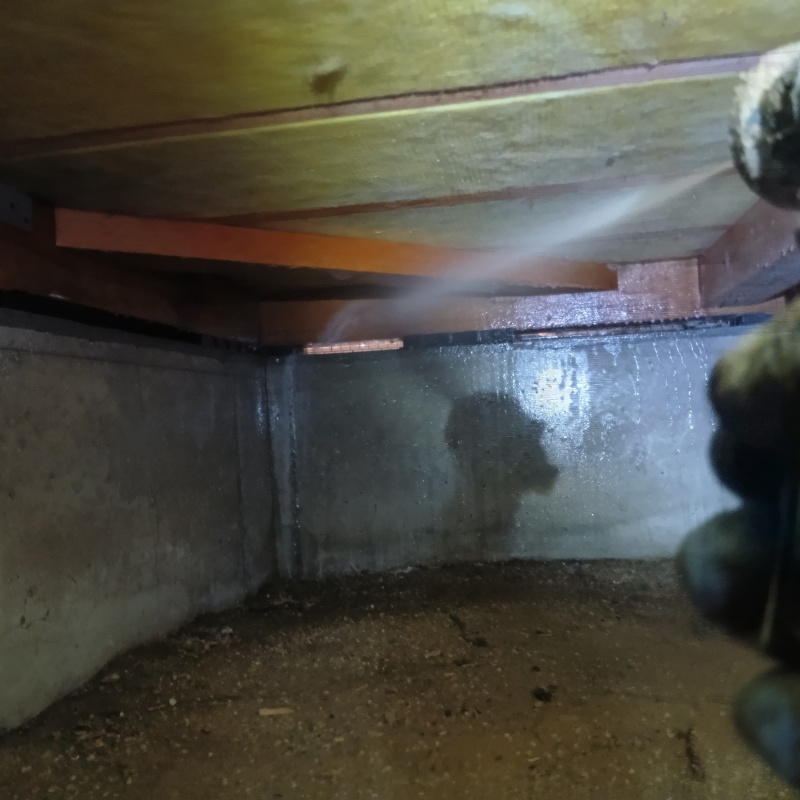 床下の基礎にシロアリ駆除剤を散布