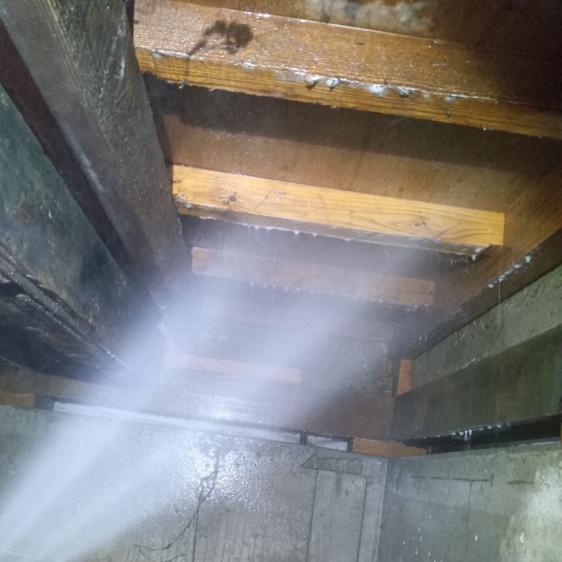 築年数40年のシロアリ駆除の施工事例（新潟県新発田市緑町）