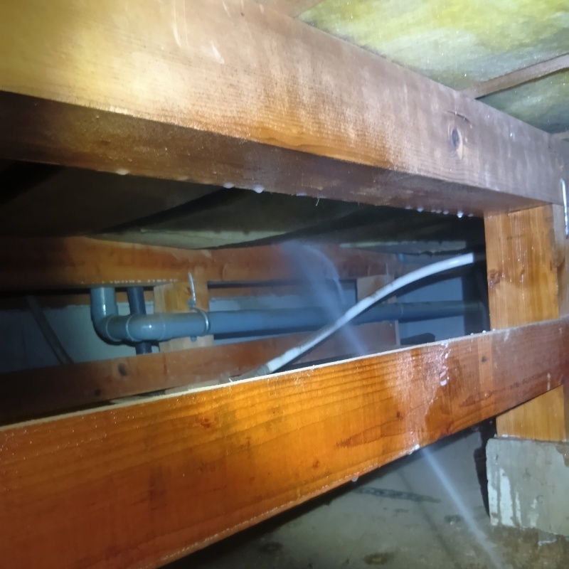 床下の木部にシロアリ駆除剤を散布