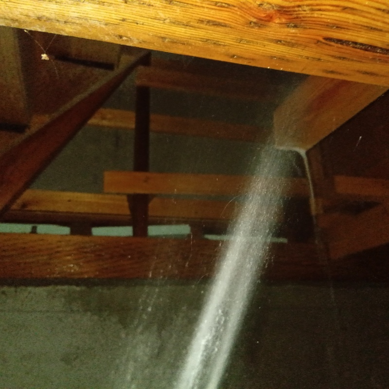 床下の木部にシロアリ駆除剤を散布