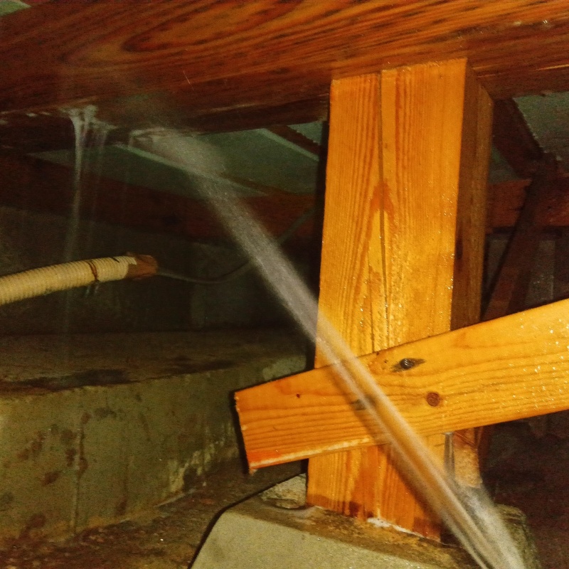 床下の木部にシロアリ駆除剤を散布