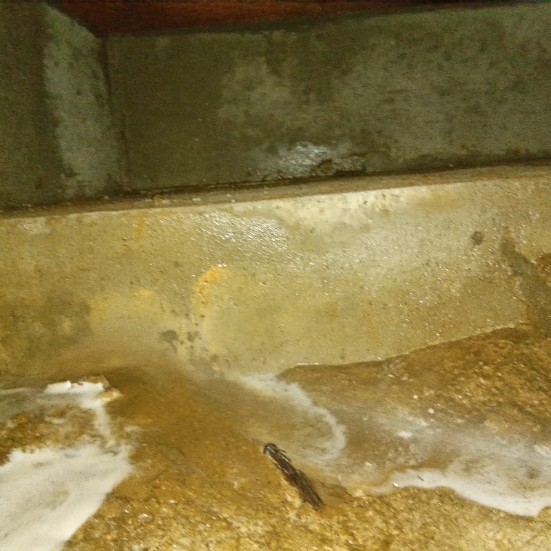 床下の土壌・基礎にシロアリ駆除剤を散布