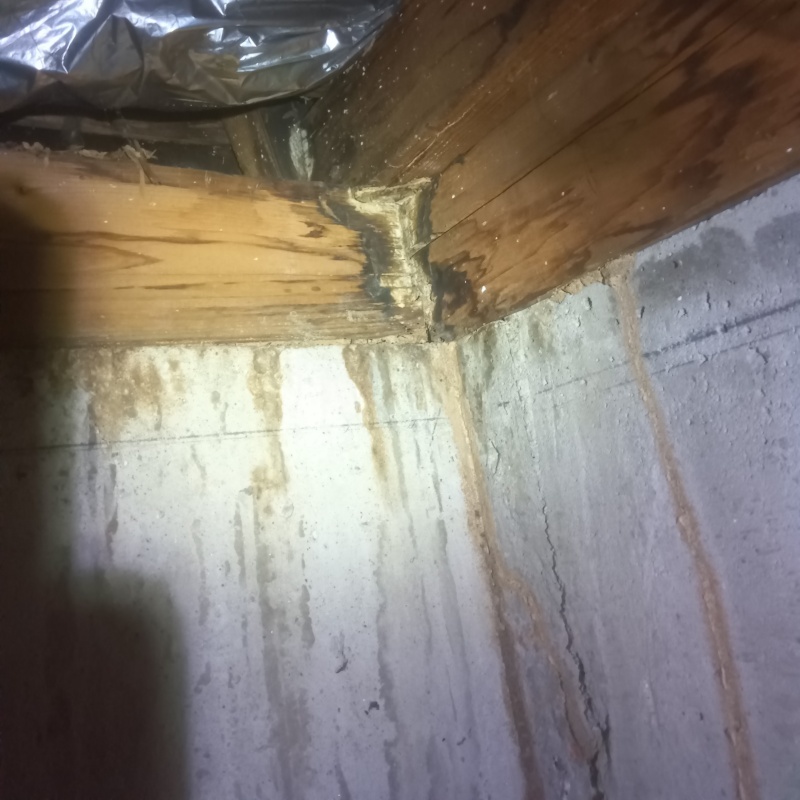 築年数30年のシロアリ駆除の施工事例（山梨県北杜市須玉町若神子）