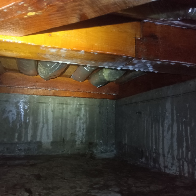 床下の基礎にシロアリ駆除剤を散布