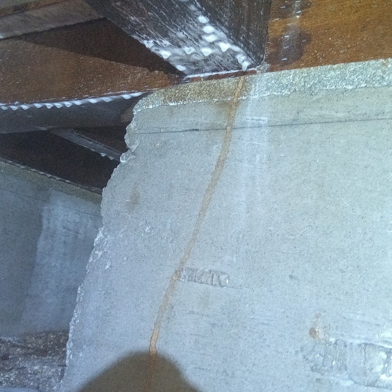 シロアリ駆除の施工事例（山口県岩国市錦見）