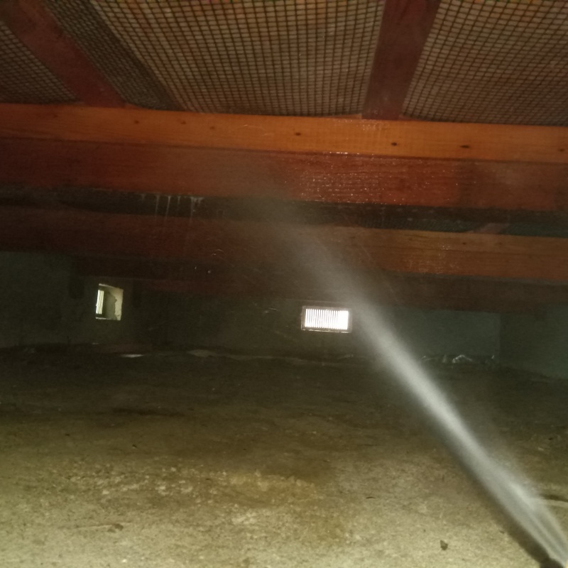 床下の木部にシロアリ駆除剤を散布