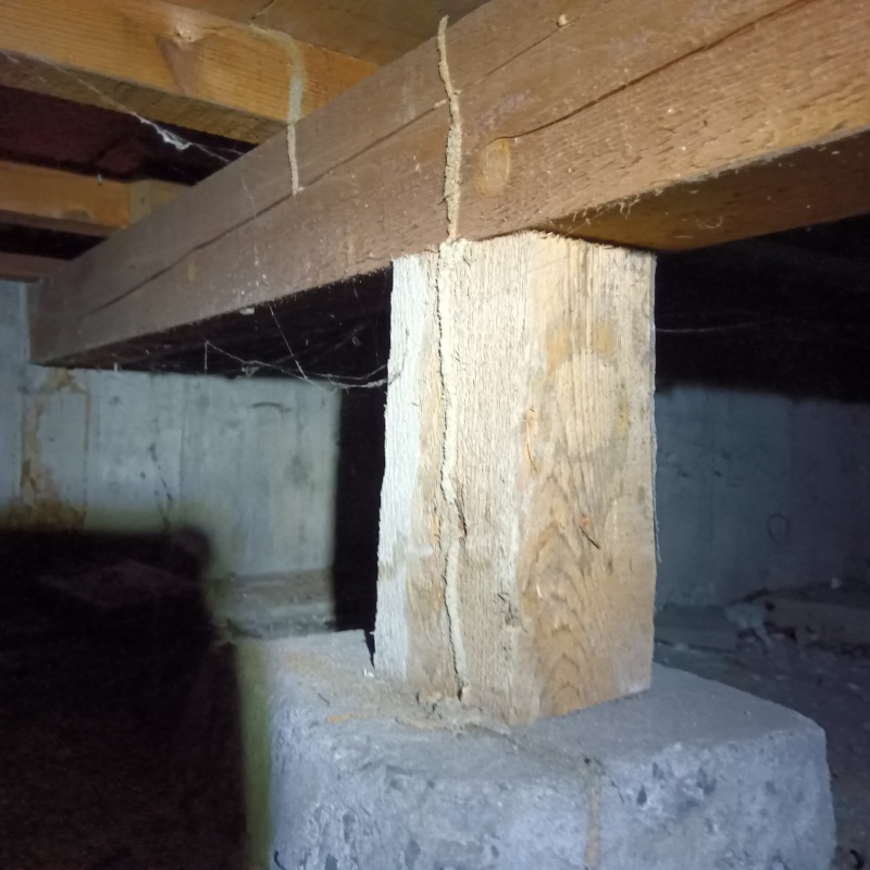築年数40年のシロアリ駆除の施工事例（愛媛県四国中央市川之江町）