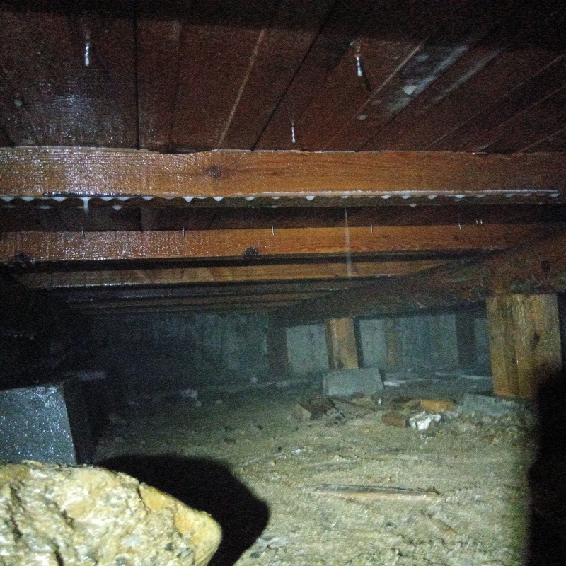 床下の木部にシロアリ駆除剤を散布