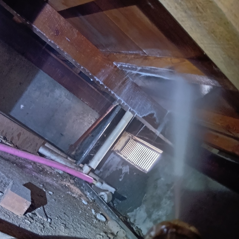 床下の木部にシロアリ駆除剤を散布