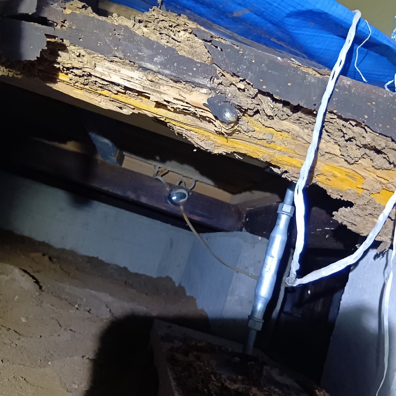 築年数54年のシロアリ駆除の施工事例（福井県坂井市三国町安島）