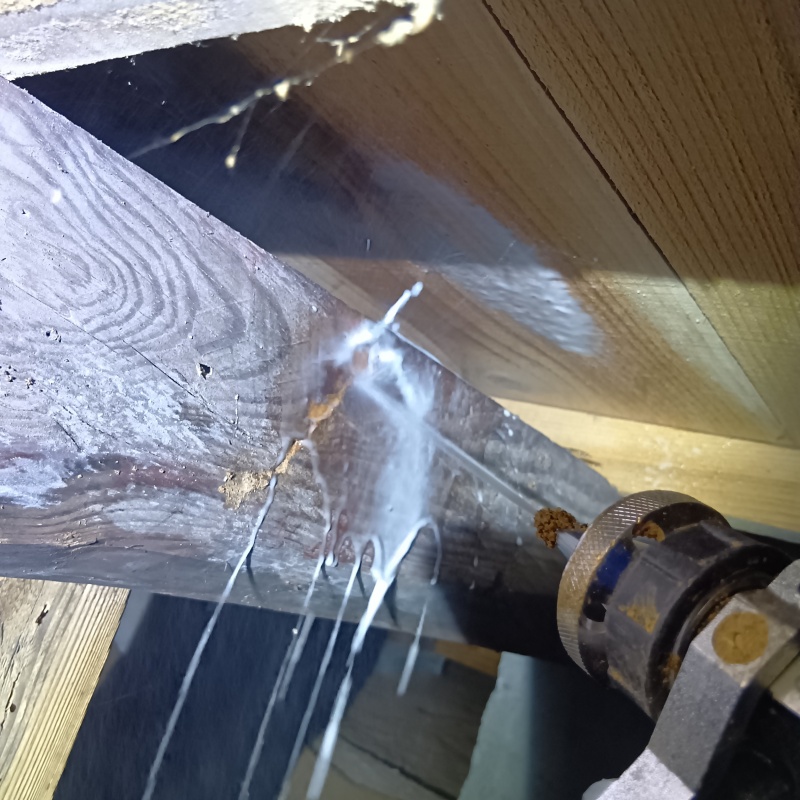 床下の木部にシロアリ駆除剤を散布