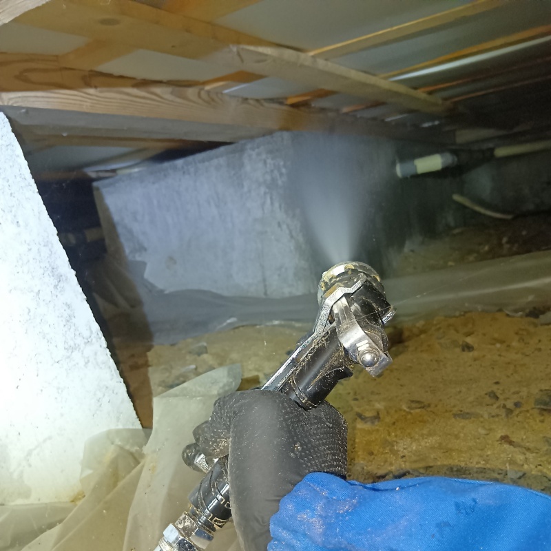 床下の基礎にシロアリ駆除剤を散布