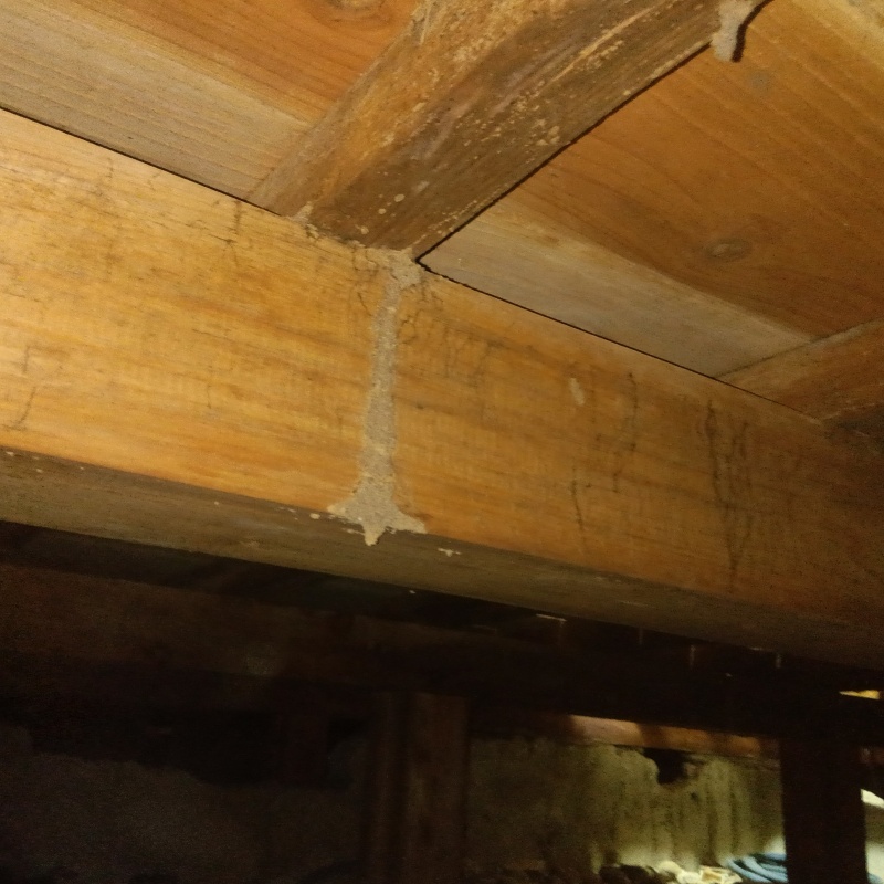 築年数50年のシロアリ駆除の施工事例（富山県高岡市横田町）