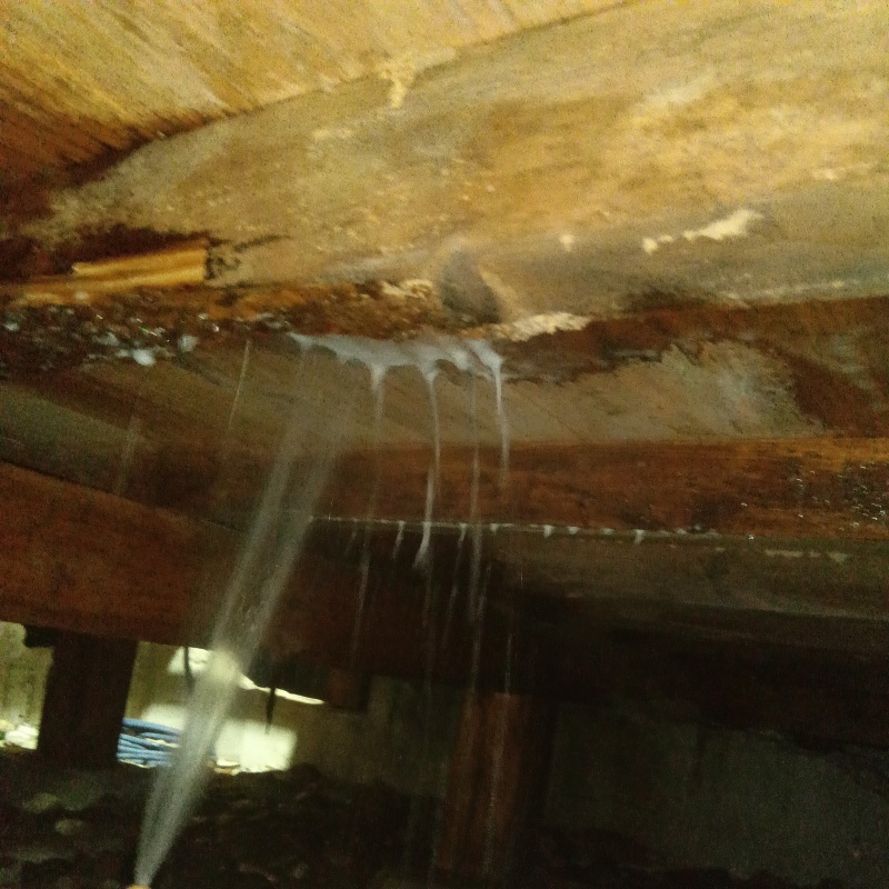 床下の木部にシロアリ駆除剤を散布