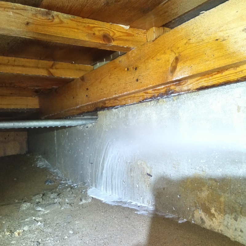 床下の基礎にシロアリ駆除剤を散布