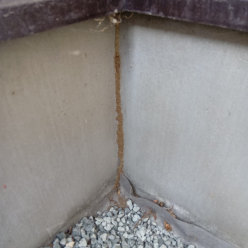 築年数26年のシロアリ駆除の施工事例（宮城県仙台市泉区高森）