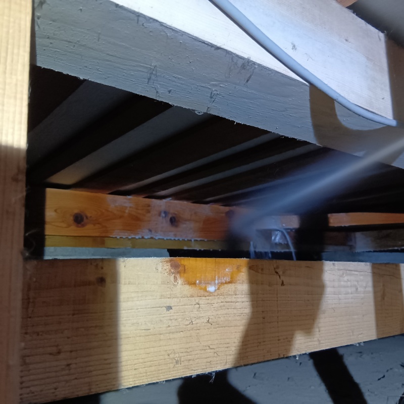 床下の木部にシロアリ駆除剤を散布