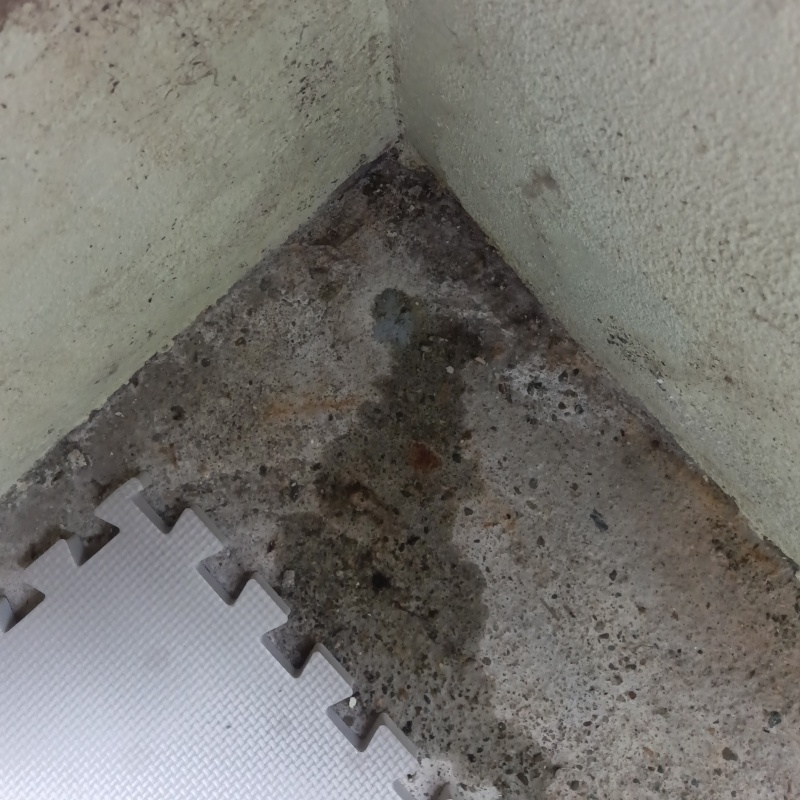 築年数50年のシロアリ駆除の施工事例（愛知県常滑市大谷浜條）