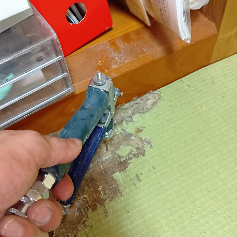 畳にシロアリ駆除剤を注入