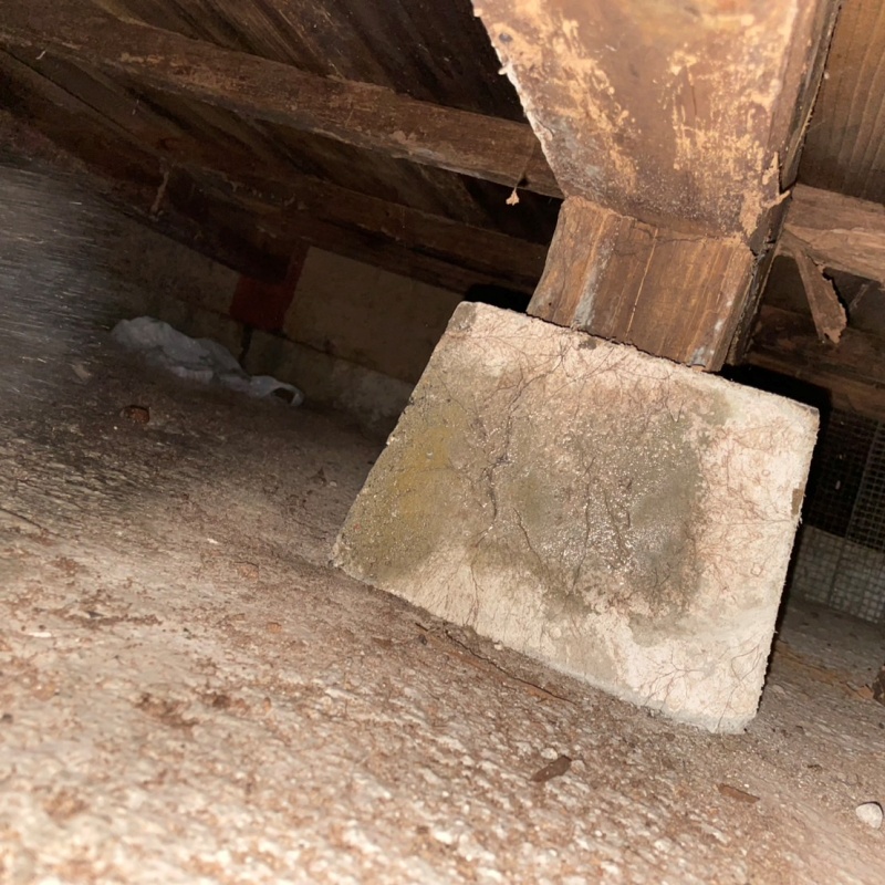 シロアリ駆除の施工事例（滋賀県高島市今津町深清水）