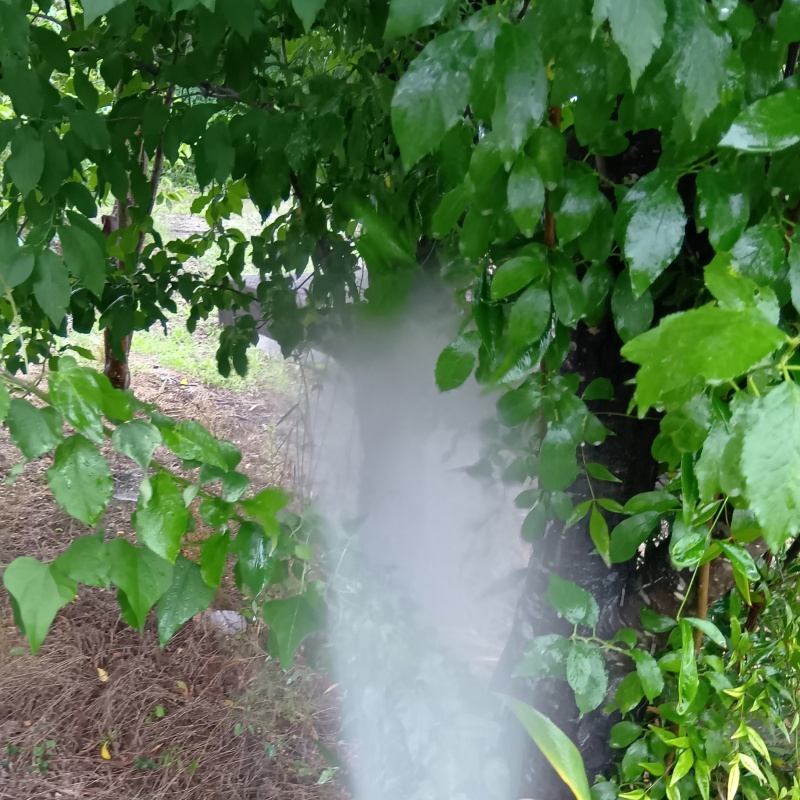 建物外周の土壌にシロアリ駆除剤を散布