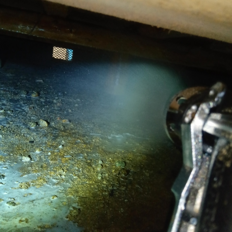 地面にシロアリ駆除剤を散布