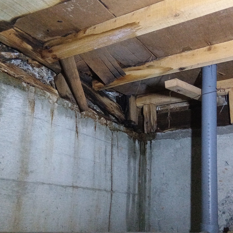 築年数50年のシロアリ駆除の施工事例（愛媛県松山市西石井）