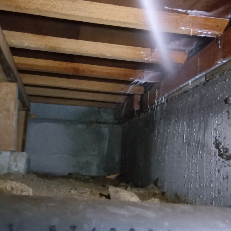 床下木材にシロアリ駆除剤を散布