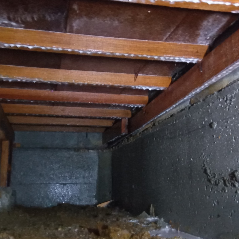 地面・基礎にシロアリ駆除剤を散布した様子