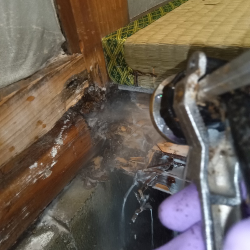 築年数10年のシロアリ駆除の施工事例（愛知県名古屋市西区菊井）