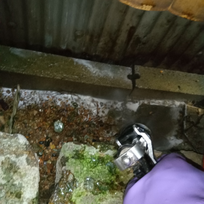 建物外周の土壌にシロアリ駆除剤を散布