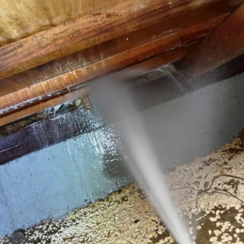 築年数40年のシロアリ駆除の施工事例（愛知県西尾市本町）