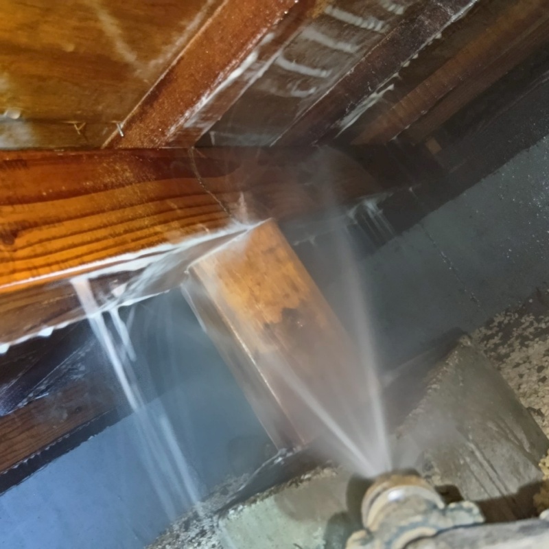 床下木材にシロアリ駆除剤を吹き付ける様子