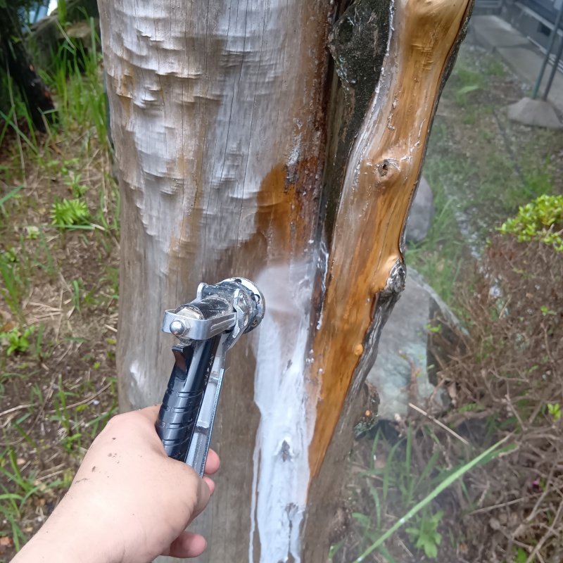 築年数40年のシロアリ駆除の施工事例（鹿児島県鹿児島市東谷山）