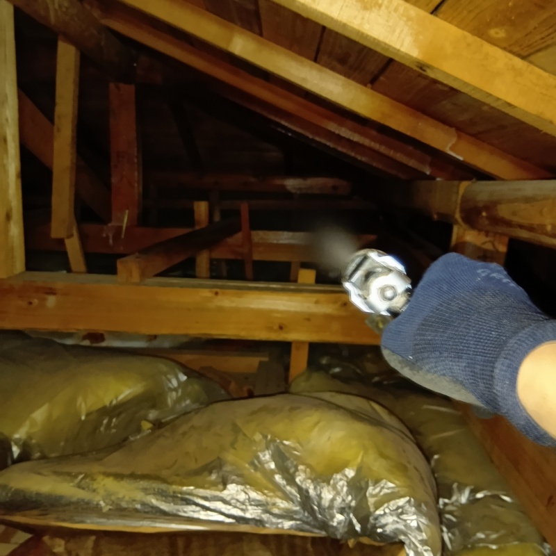屋根裏の木材にシロアリ駆除剤を散布