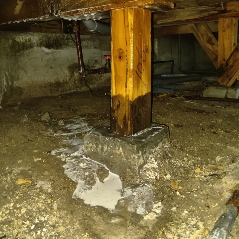 地面にシロアリ駆除剤を散布した様子