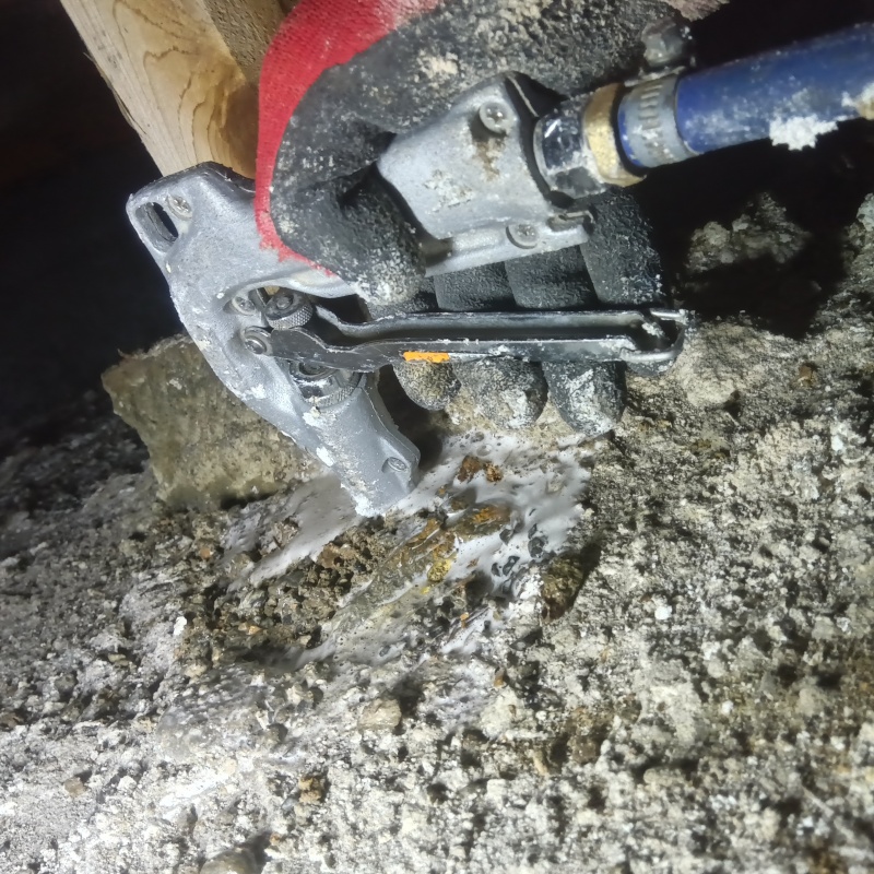 地面にシロアリ駆除剤を散布