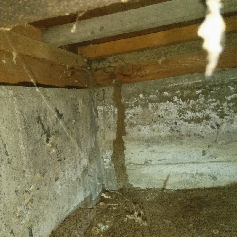 築年数50年のシロアリ駆除の施工事例（石川県金沢市粟崎町）